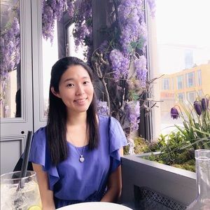 Express periwinkle blouse top